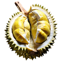 fruta durian fresca png