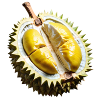 fruit de durian frais png