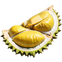 fruta fresca de durian png