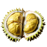 fruta durian fresca png