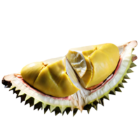 vers durian fruit png