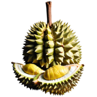 Fresh Durian Fruit png