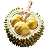 Fresh Durian Fruit png