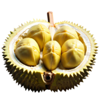 frische Durianfrucht png