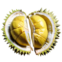 Fresh Durian Fruit png