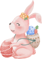 Cute rabbit and her Easter eggs png