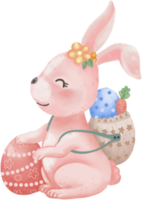 süß Hase und ihr Ostern Eier png