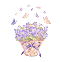 Wild violets and butterflies in wicker basket with bow and rbbons. Spring watercolor illustration. Isolated hand drawn pansy bouquet. Vintage drawing template for card, tableware, textile, embroidery. png