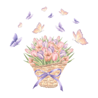 Tulip flowers in wicker basket with bow and flying butterflies. Floral watercolor illustration. Isolated hand drawn spring bouquet. Vintage drawing template for card, tableware, textile, embroidery. png