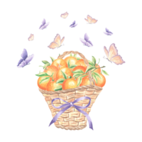 farfalle svolazzare al di sopra di arance frutta nel di vimini cestino con viola arco. mano disegnato acquerello illustrazione estate succoso agrumi. isolato modello per Stampa , carta, scrapbooking, ricamo, tessile. png