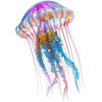 Beautiful bright colored jellyfish, on a transparent background png
