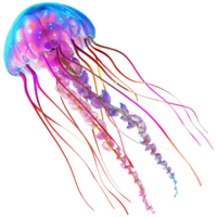 Beautiful bright colored jellyfish, on a transparent background png