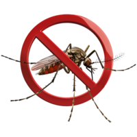 mosquito dentro não símbolo. transparente fundo, adequado para saúde, doença prevenção e Projeto elementos png