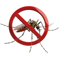 Mosquito inside No symbol. Transparent background, suitable for health, disease prevention and design elements png