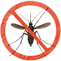 Mosquito inside No symbol. Transparent background, suitable for health, disease prevention and design elements png
