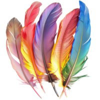 Brightly colored feathers, with a transparent background png