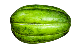 meloen geïsoleerd Aan wit, groen meloen geïsoleerd Aan wit achtergrond, een dichtbij omhoog van een groen meloen, een groen meloen fruit Aan een transparant achtergrond, png