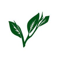 tea leaves silhouette. tea sprout with leaves. silhouette of tea leaves. tea Leaf silhouette. mint leaf. vector