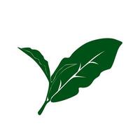 tea leaves silhouette. tea sprout with leaves. silhouette of tea leaves. tea Leaf silhouette. mint leaf. vector