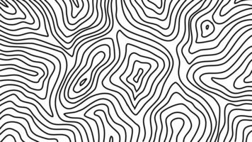 topographic contour background. contour background. modern Topographic map wallpaper. topographic background. abstract wavy background. vector