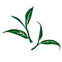 tea leaves silhouette. tea sprout with leaves. silhouette of tea leaves. tea Leaf silhouette. mint leaf. vector