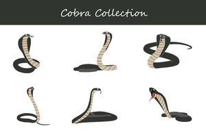 Cobra collection. Cobra in different poses. vector