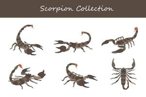 Scorpion collection. Scorpion in different poses. vector