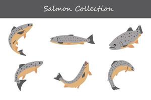 salmon collection. salmon in different poses. vector