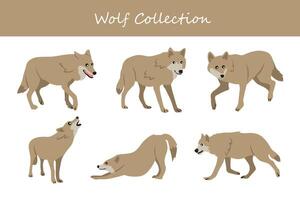 wolf collection. wolf in different poses. vector