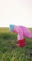 Porträt von wenig Mädchen im das Feld graben das Boden mit ein Schaufel video