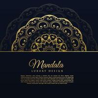 beautiful mandala decoration background design vector