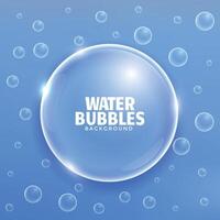 elegant blue shiny bubbles background vector