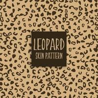 leopard skin texture print marks vector