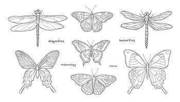 Set of hand drawn dragonflies and butterflies for stickers, prints, cards, coloring page, scrapbooking, etc. EPS 10 vector