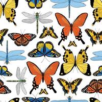 mariposas sin costura modelo con mano dibujado objetos para fondo de pantalla, textil huellas dactilares, envase papel, álbum de recortes, estacionario, etc. eps 10 vector