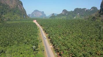 antenne visie van een vrachtauto het rijden langs een toneel- weg in krabi provincie, Thailand. video