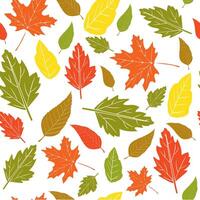 Autumn colored leaves on a white background. Printing on fabric and textiles. Seamless pattern for wallpaper and background vector