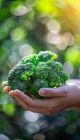 Hand holding broccoli floret with selection on blurred background, copy space available photo