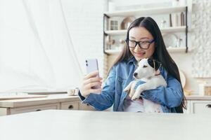 Young beautiful asian woman with pet jack russell terrier talking on call with friends, woman at home in kitchen using smartphone for remote communication. photo