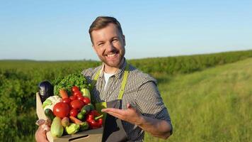 contento contadino Tenere cestino con fresco raccolto verdure e sorridente nel telecamera su campagna campo. concetto. biologico, bio prodotti, bio ecologia, vegetariano e vegano video