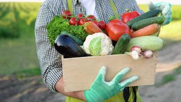 Jeune agriculteur avec fraîchement combiné des légumes dans le panier video