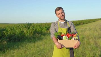 agriculteur porter Caisse de fraîchement choisi des légumes. récolte dans le champ, biologique des produits video