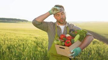 contento contadino Tenere cestino con fresco raccolto verdure e sorridente nel telecamera su campagna campo. concetto. biologico, bio prodotti, bio ecologia, vegetariano e vegano video