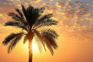 Majestic date palm creates tranquil silhouette against golden sunset sky photo