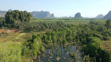 panorama do krabi província com turistas caiaque em espelho lago, Tailândia video