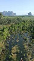 landskap av krabi provins med turister Kajakpaddling på spegel sjö, thailand video