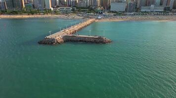 aéreo zangão cenas do a cidade e de praia video