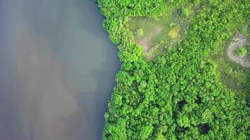 natureza aéreo zangão cenas video