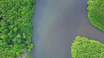 Natur Antenne Drohne Aufnahmen video