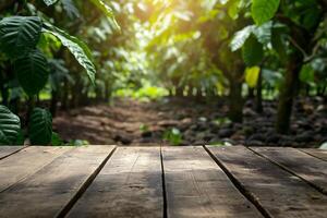 vacío de madera mesa con un cacao árbol plantación fondo, colocación producto antecedentes foto